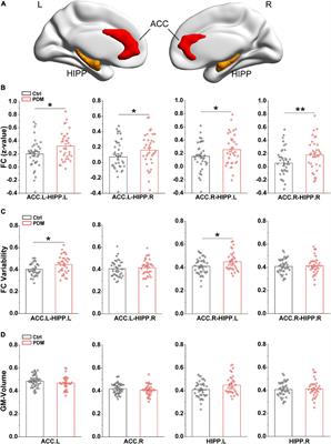 Pelvic Pain Alters Functional Connectivity Between Anterior Cingulate Cortex and Hippocampus in Both Humans and a Rat Model